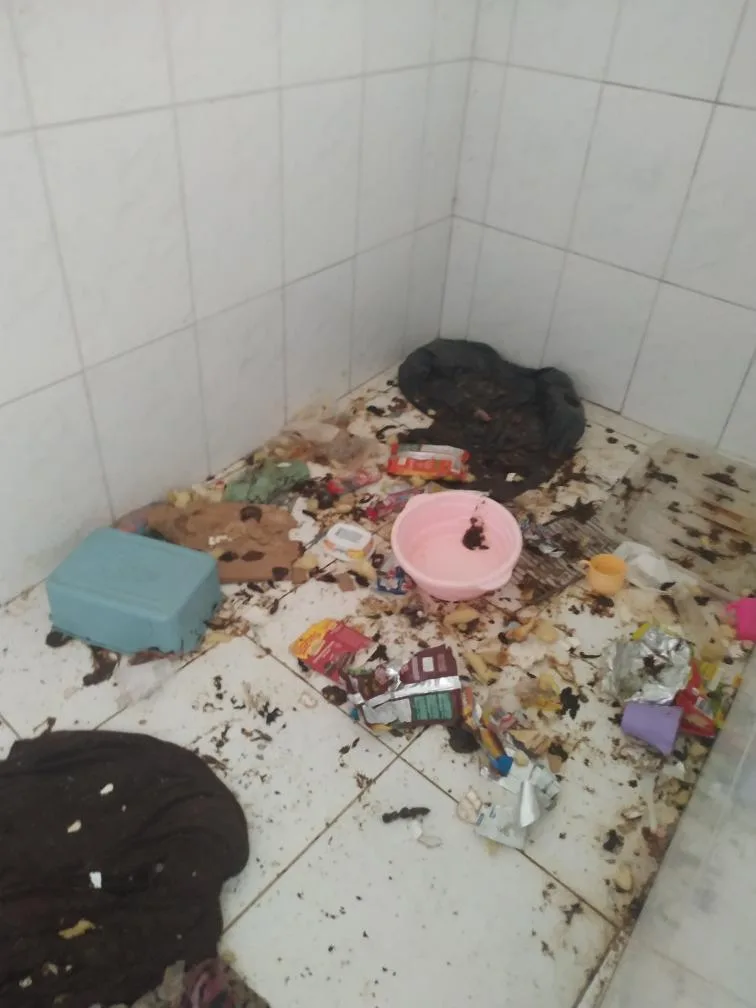 Maus tratos Barra de São Francisco