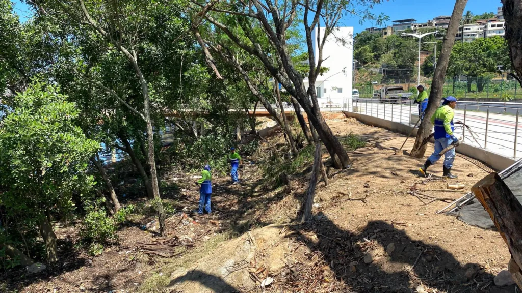 Limpeza da área de preservação da orla