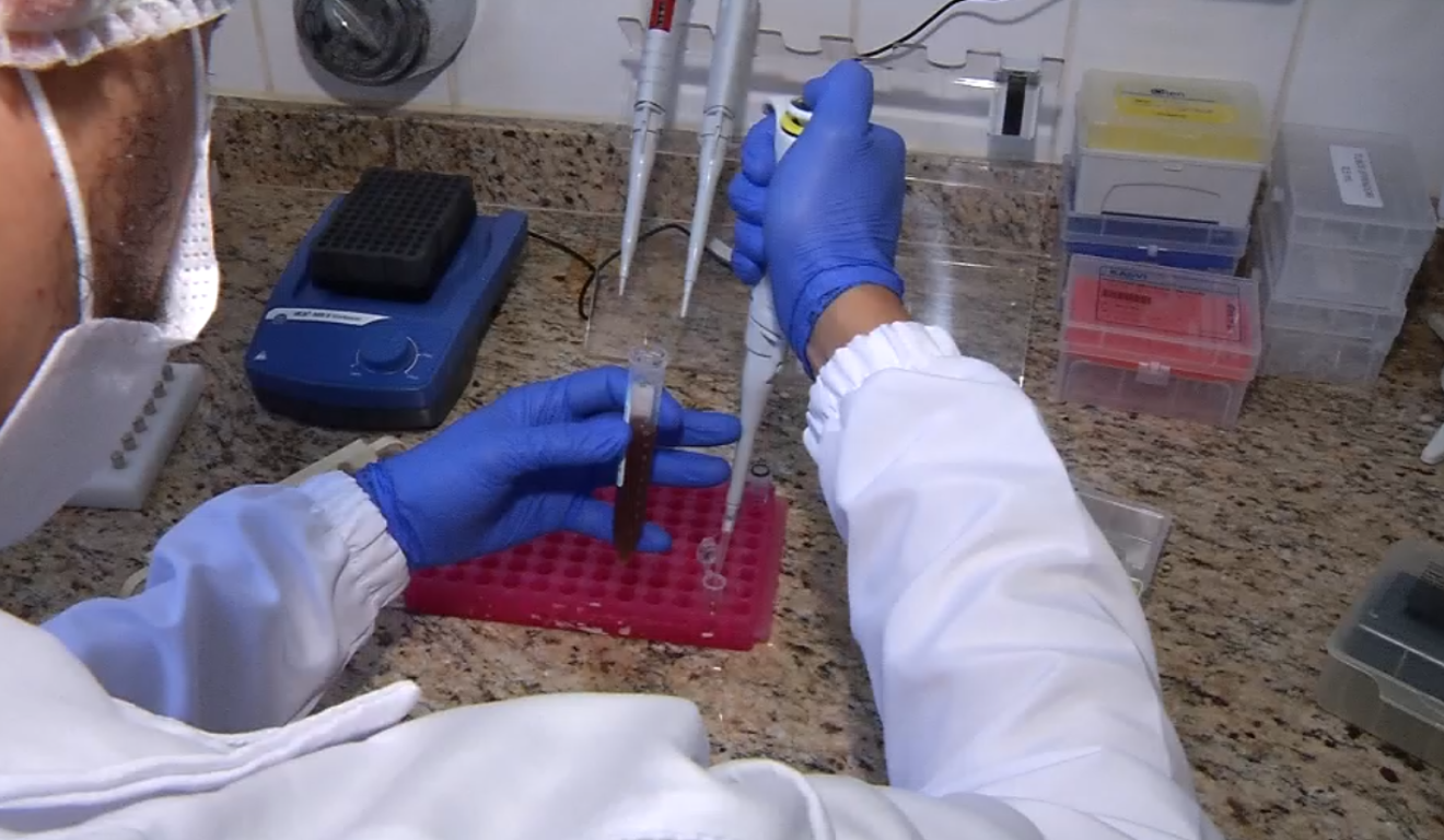 Estudo sobre genética dos capixabas