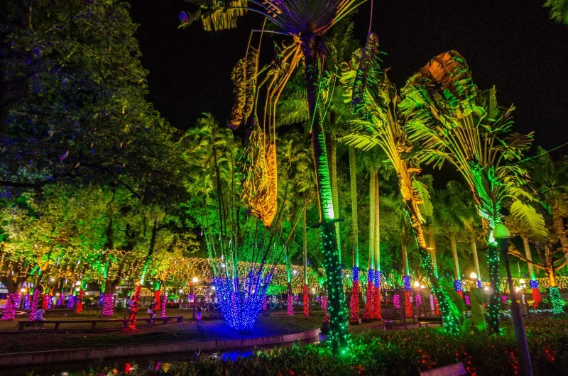 Parque Moscoso - luzes de natal