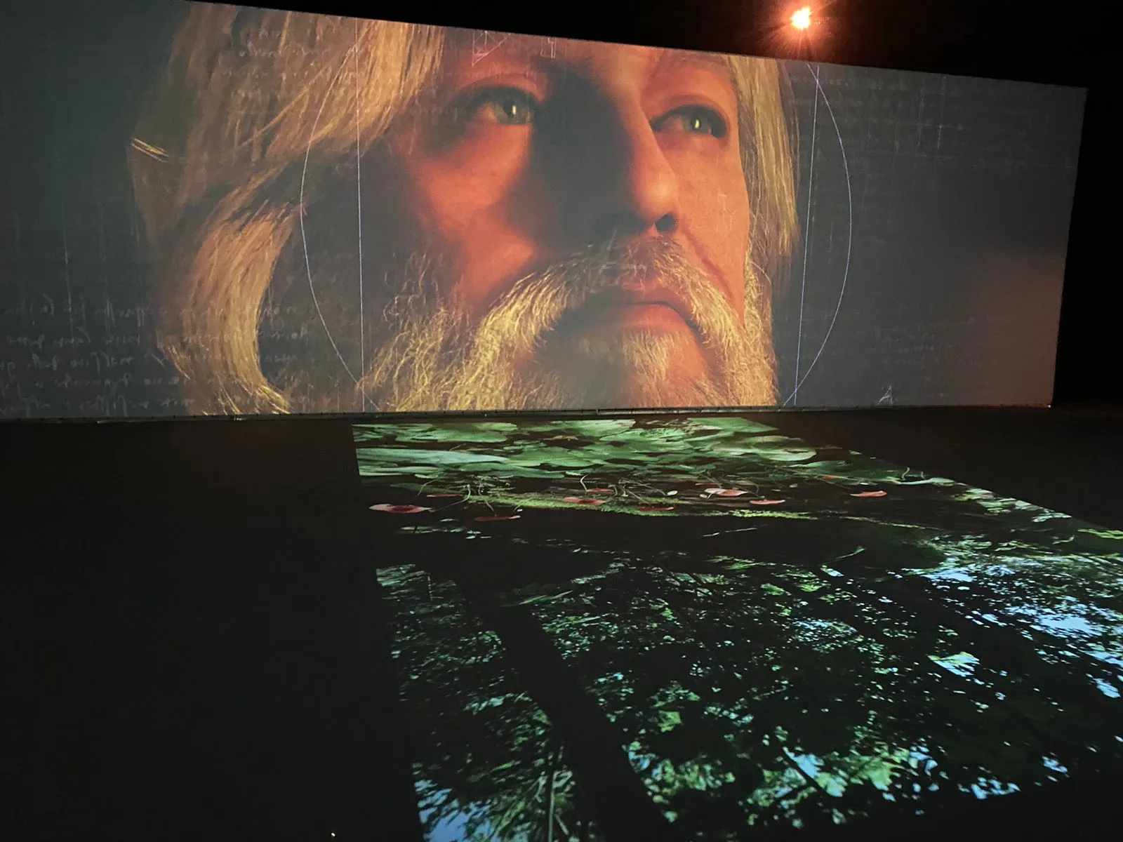 O Extraordinário Universo de Leonardo da Vinci