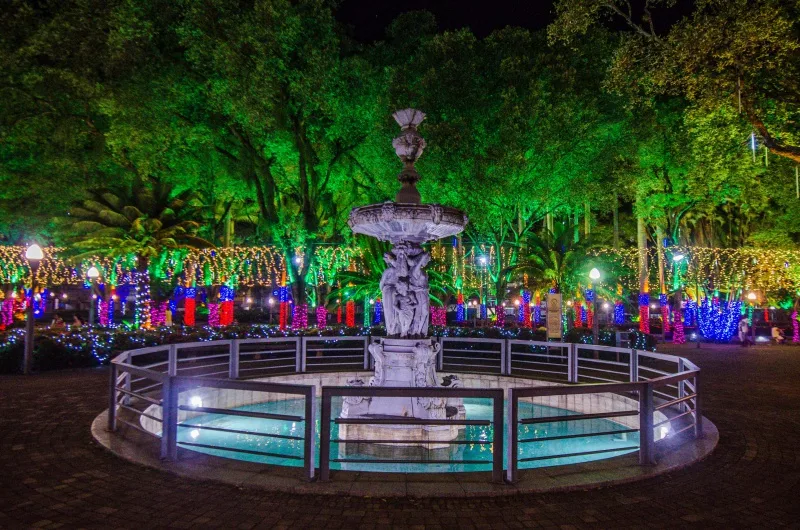 Parque Moscoso - luzes de natal