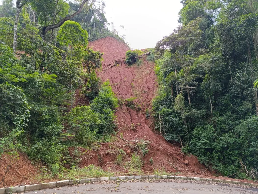 Idaf inicia operação contra desmatamento ilegal em Guarapari