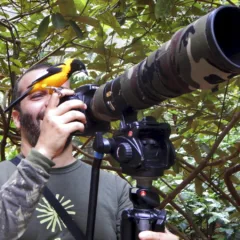 Pássaro corrupião pousado sobre a lente da câmera de Leonardo Merçon durante curso de fotografia