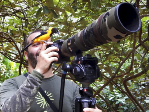 Pássaro corrupião pousado sobre a lente da câmera de Leonardo Merçon durante curso de fotografia