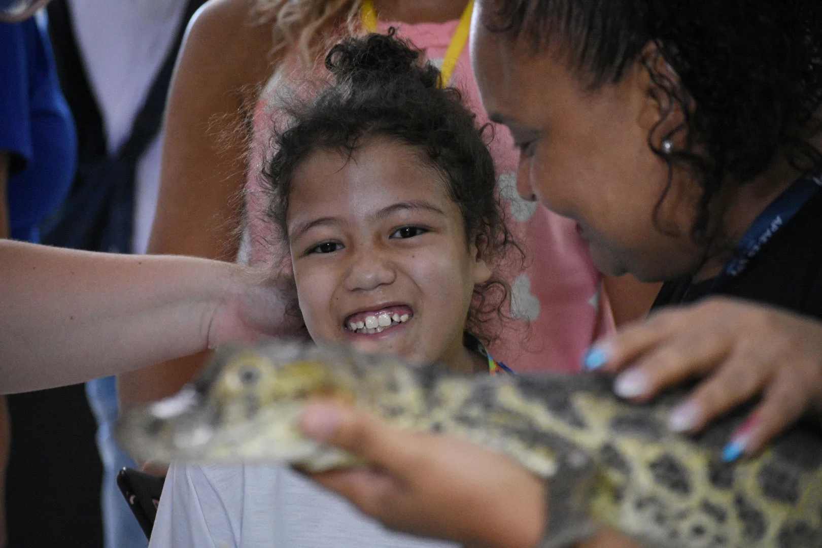 Projeto Caiman - Apae da Serra