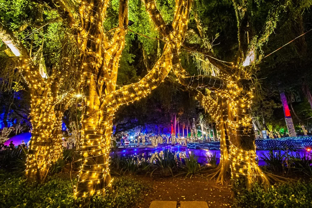 Decoração Parque Moscoso
