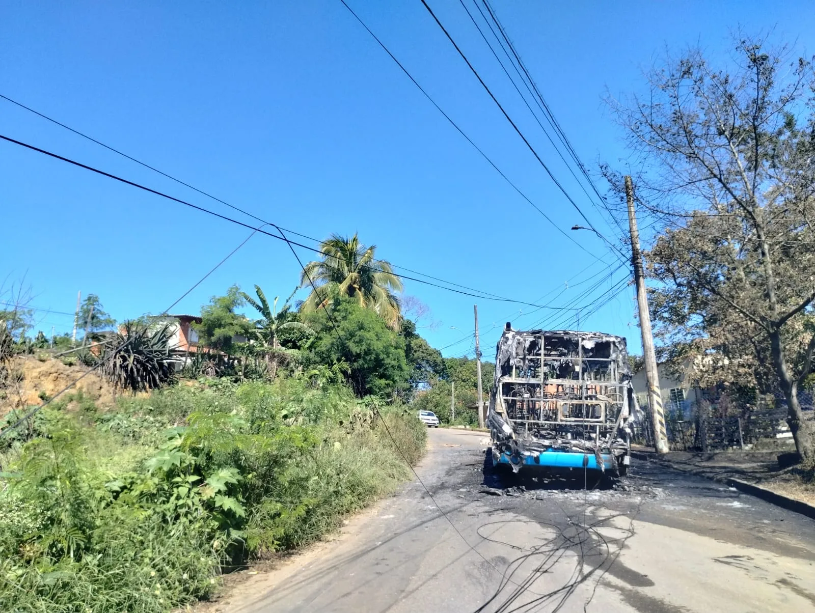 onibus Cariacica