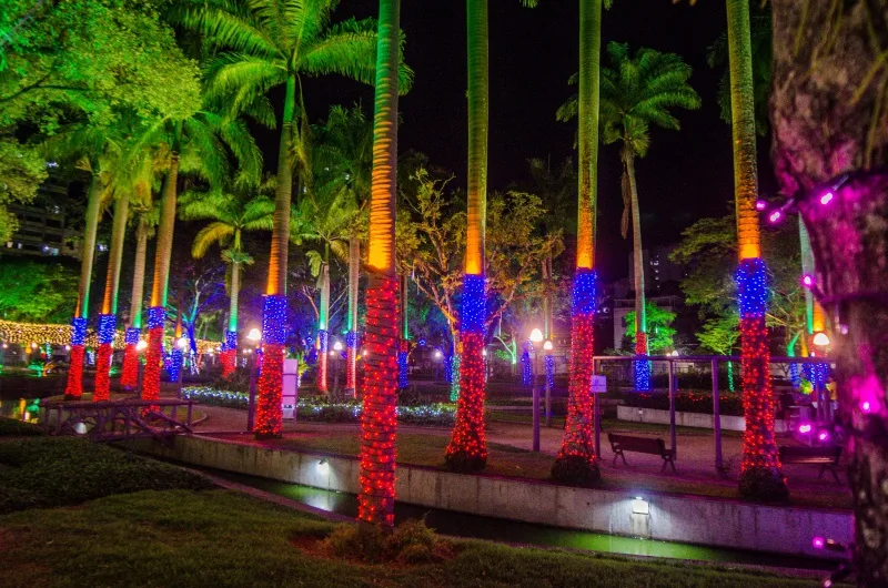 Parque Moscoso - luzes de natal