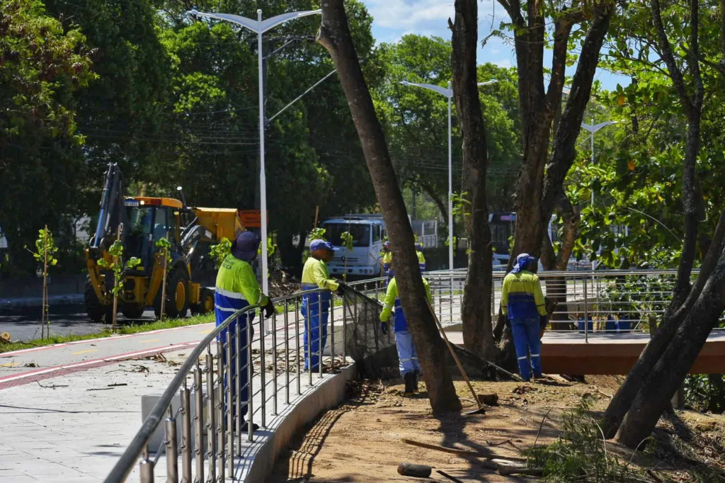 Limpeza da área de preservação da orla
