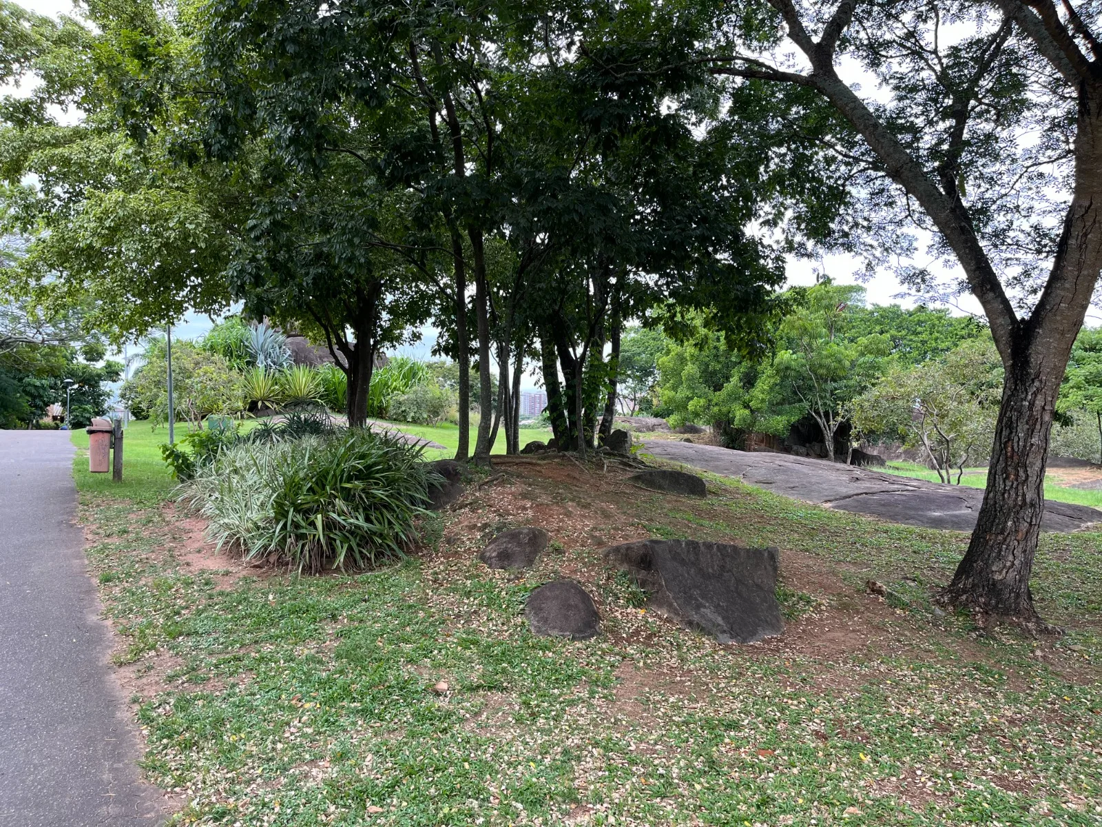 Pedra da Cebola