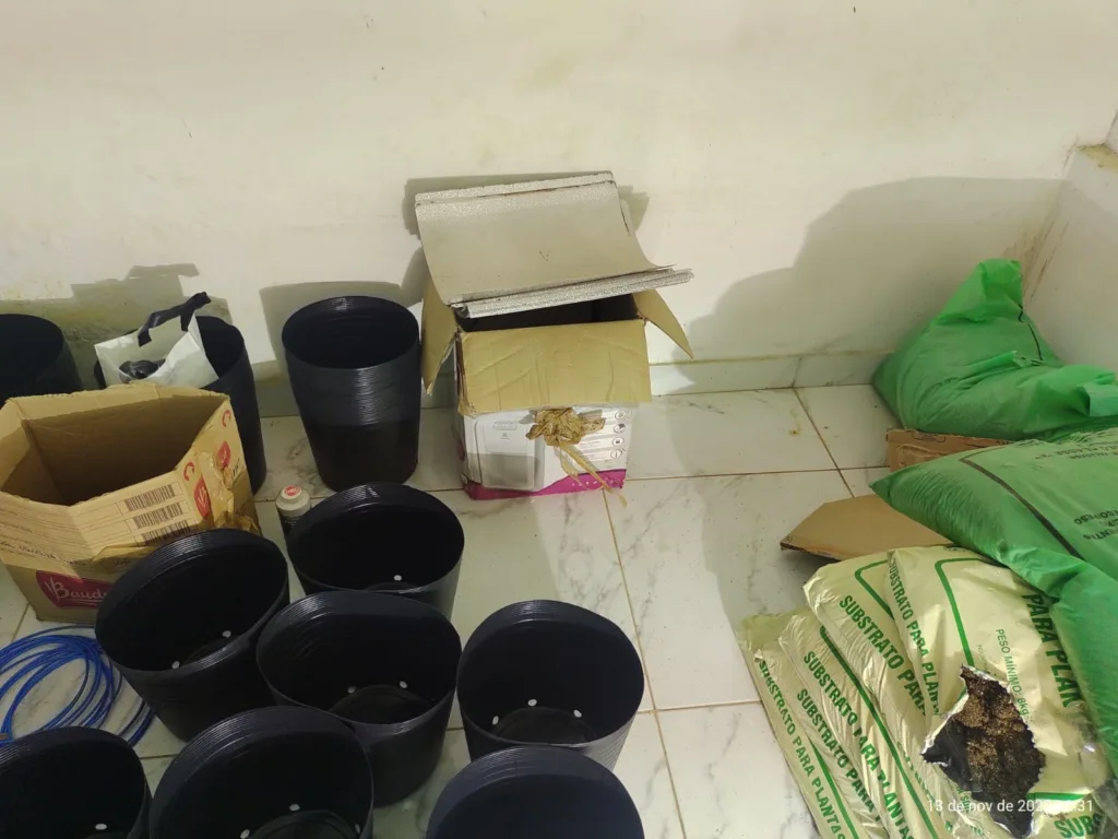 Mãe laboratório droga