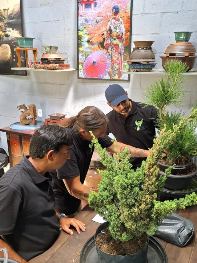 Primeira escola de bonsai do Espírito Santo é inaugurada em Vila Velha