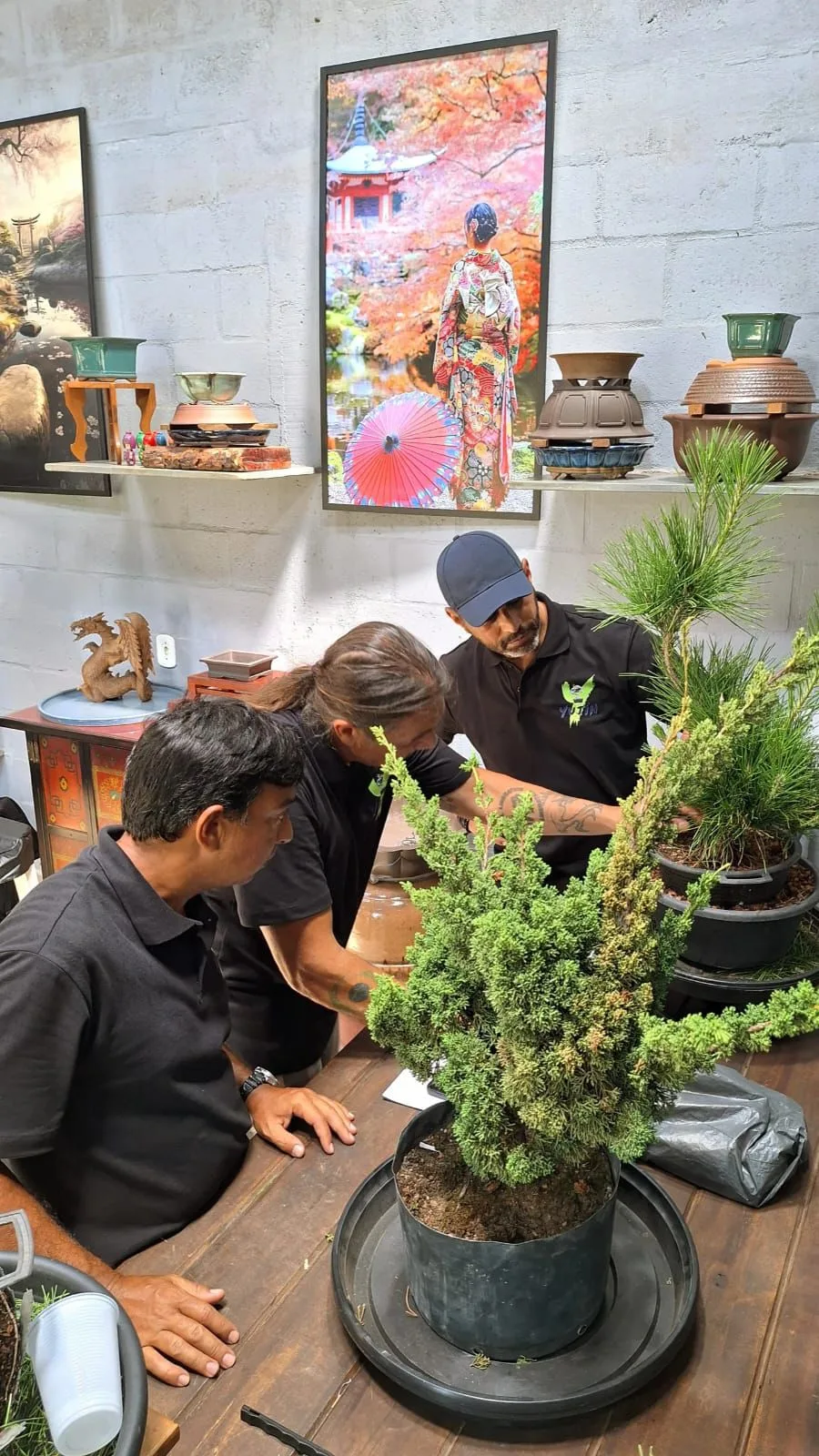 Primeira escola de bonsai do Espírito Santo é inaugurada em Vila Velha