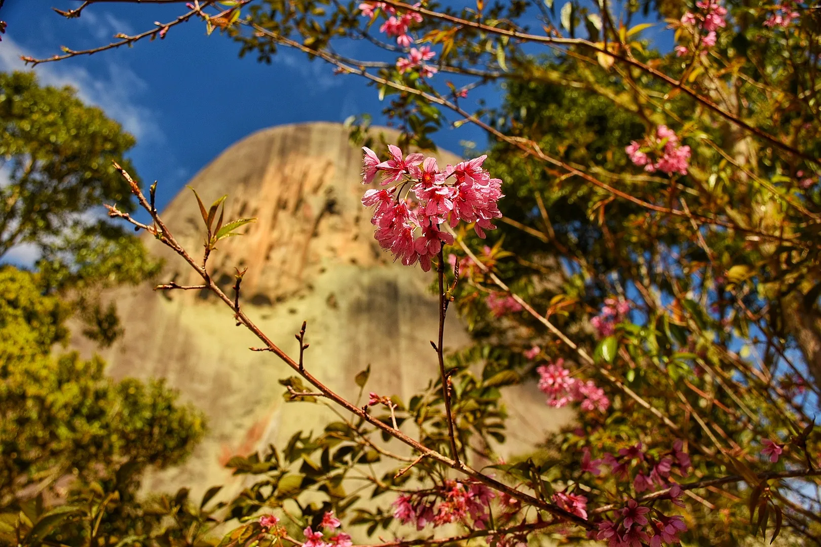 Parque Estadual Pedra Azul