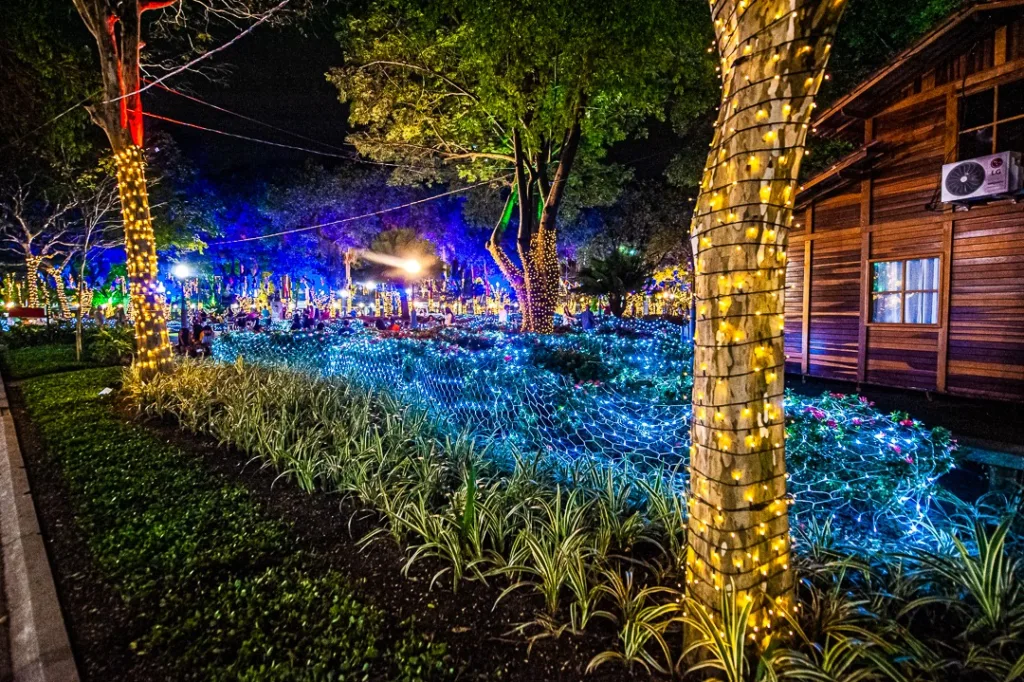 Decoração Parque Moscoso