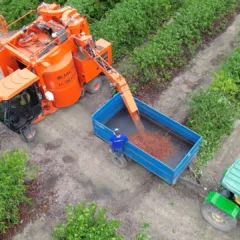 Produtores de café apostam na mecanização para driblar escassez de mão de obra no ES