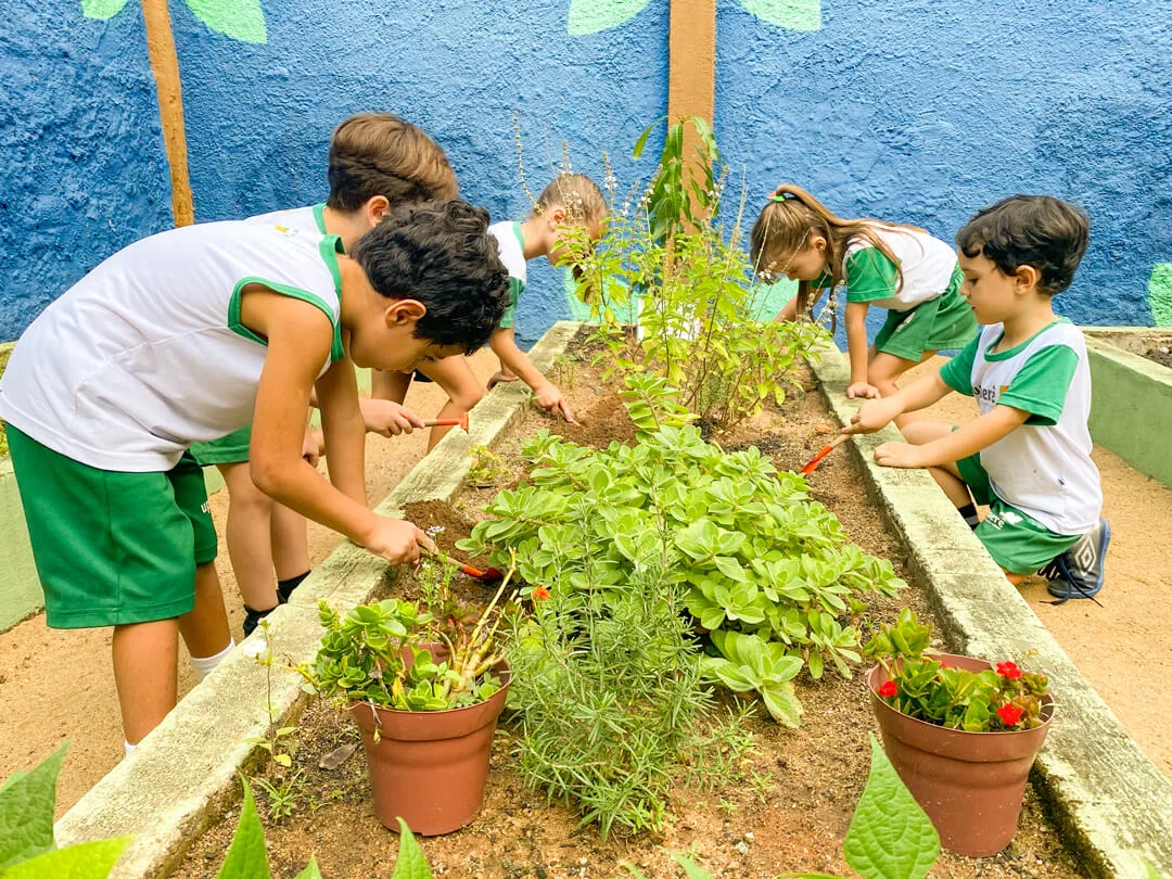 [Upuerê] Carrossel 1 - Foto 2