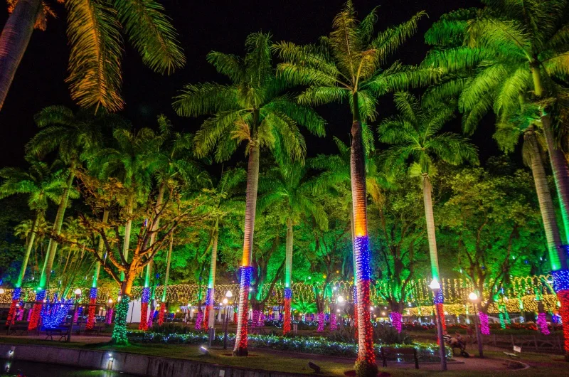 Parque Moscoso - luzes de natal