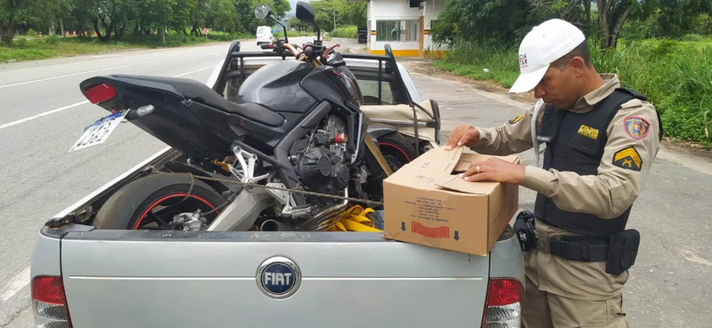 Sapos são apreendidos em Minas Gerais