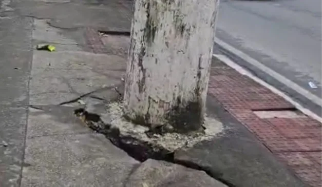 Foto: Reprodução de vídeo/Leitor
