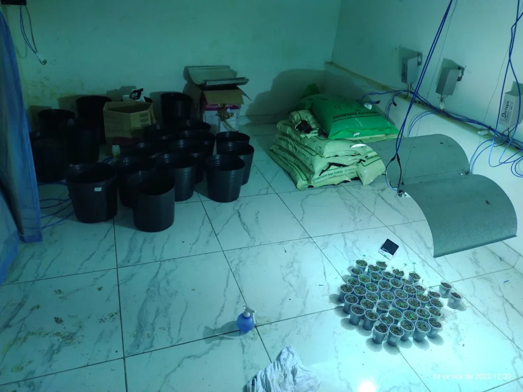 Mãe laboratório droga