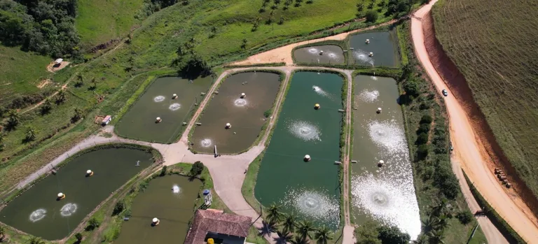 Piscicultura capixaba cresce 7,2% com apoio da tecnologia e da pesquisa
