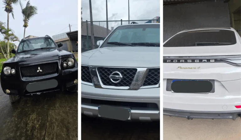 Foto: Polícia Civil/ Divulgação 