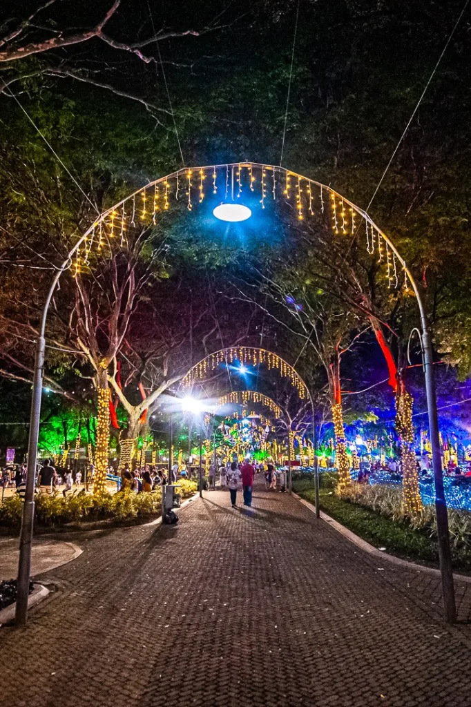 Decoração Parque Moscoso