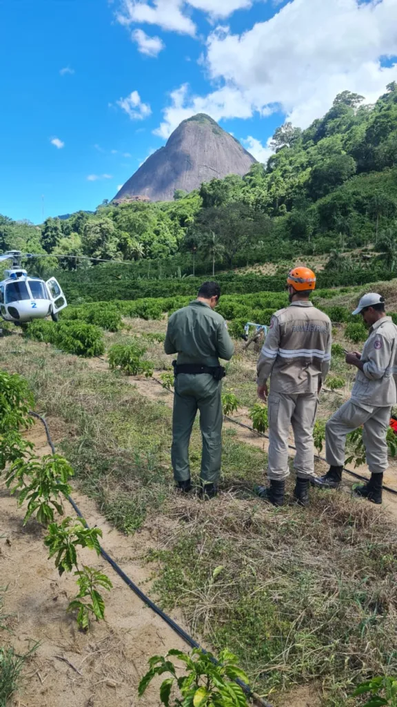 QUEDA PARAQUEDISTA EUA