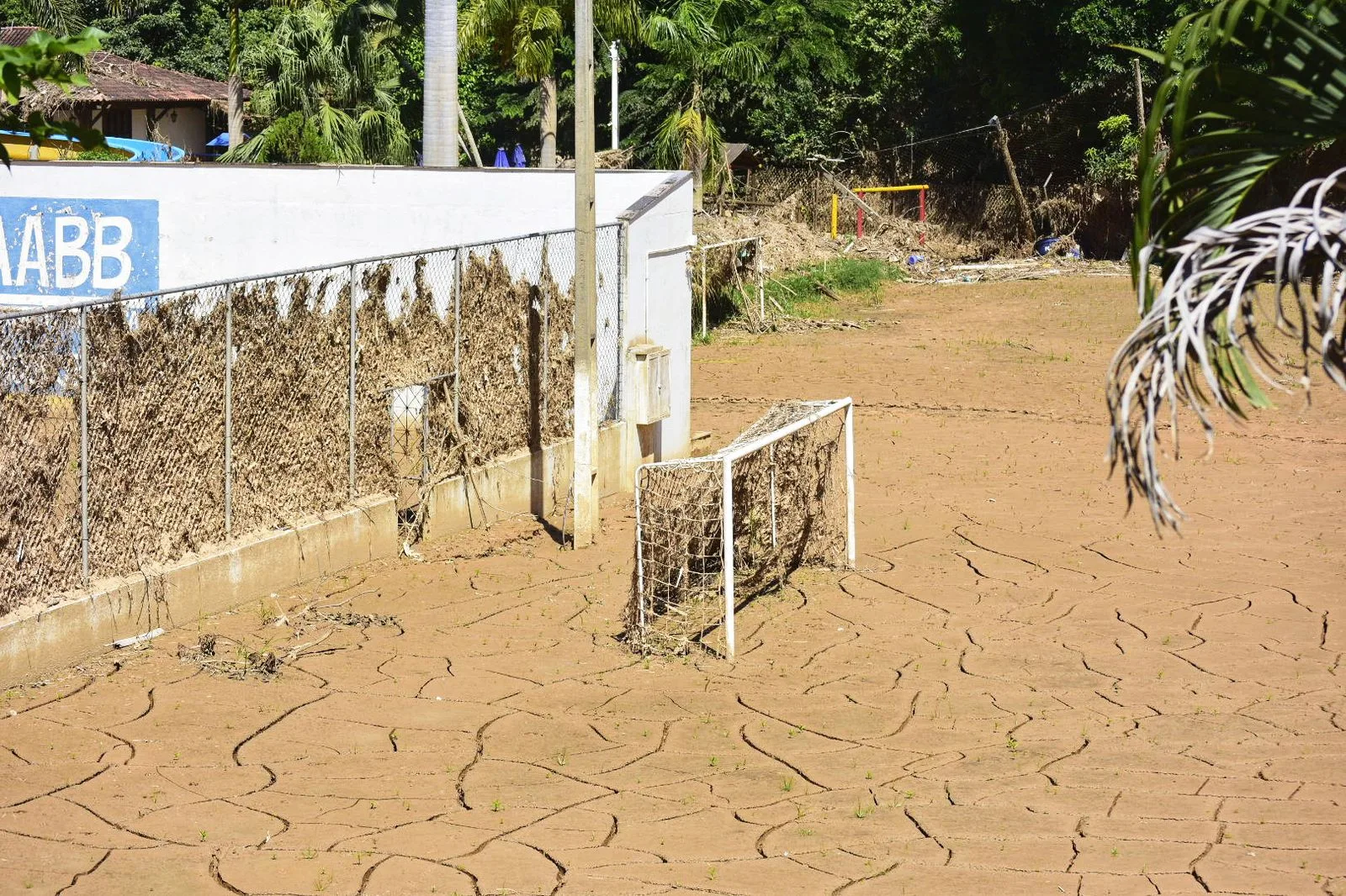 1 MÊS CHUVA MIMOSO DO SUL