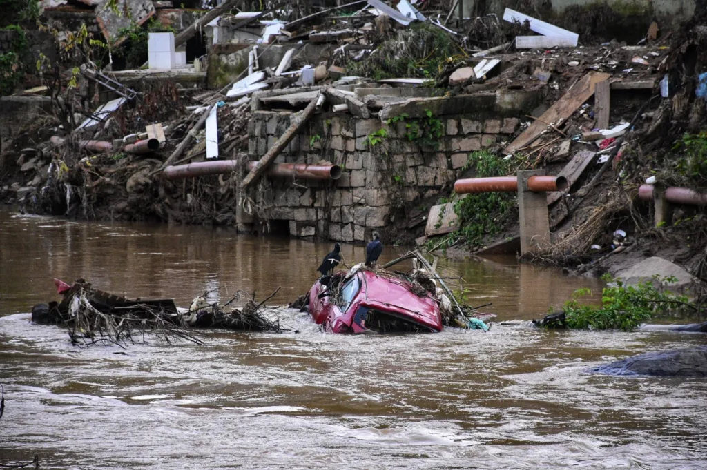 1 MÊS CHUVA MIMOSO DO SUL