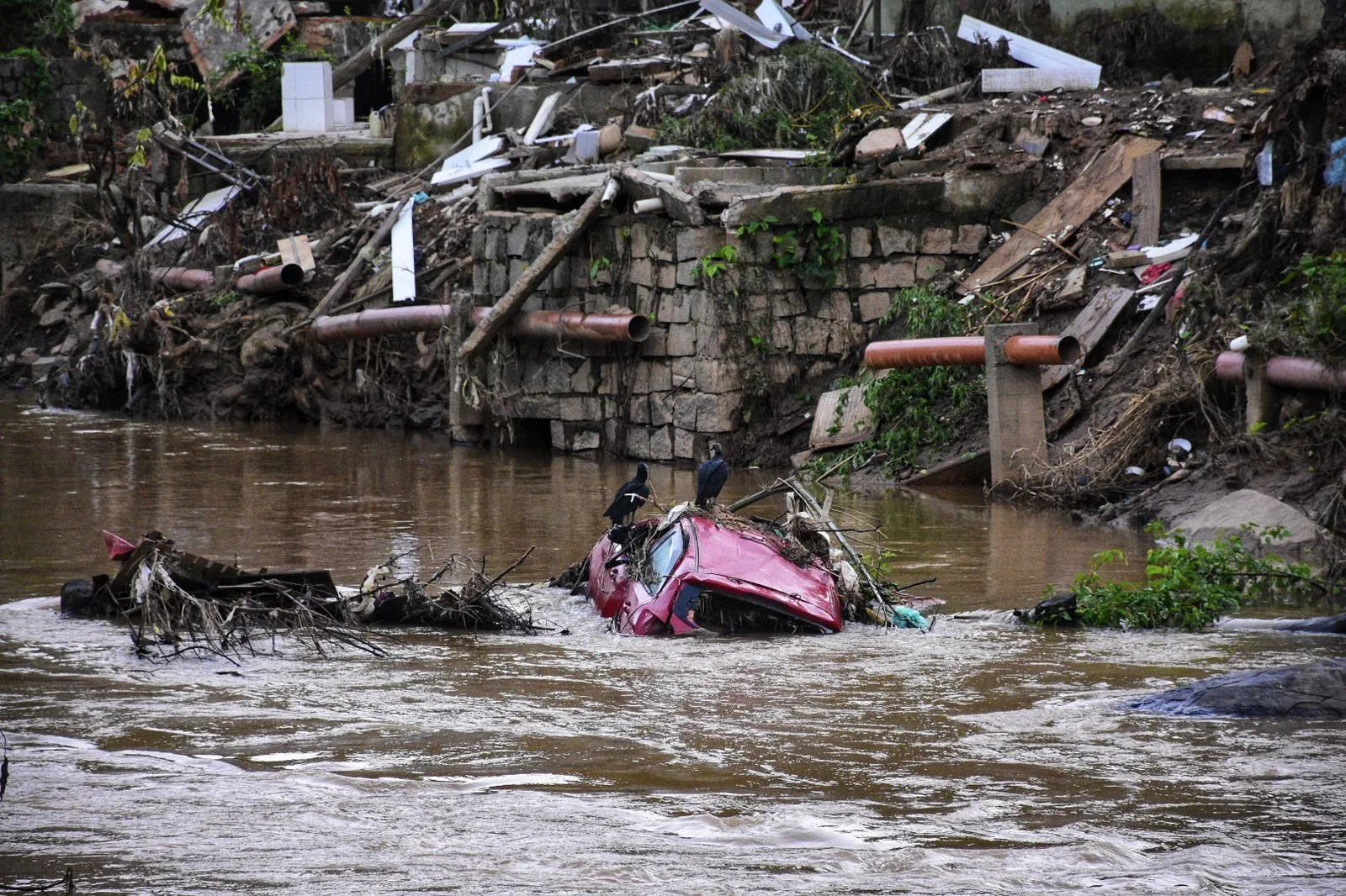 1 MÊS CHUVA MIMOSO DO SUL