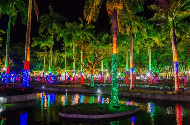 Parque Moscoso - luzes de natal