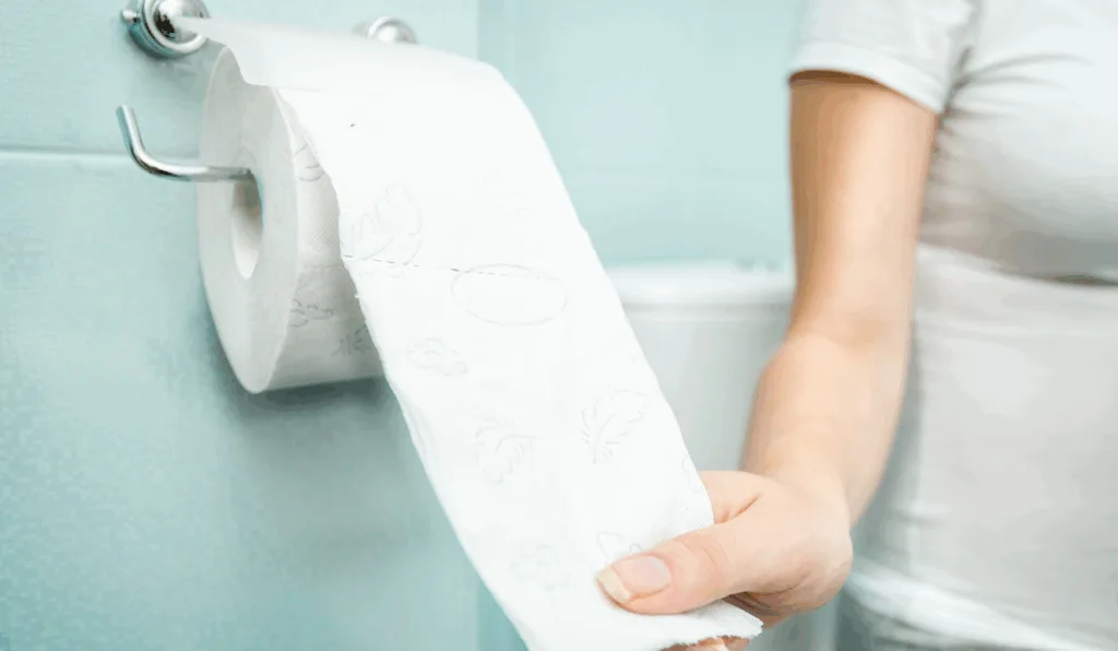 Forma correta de colocar papel higiênico/Reprodução