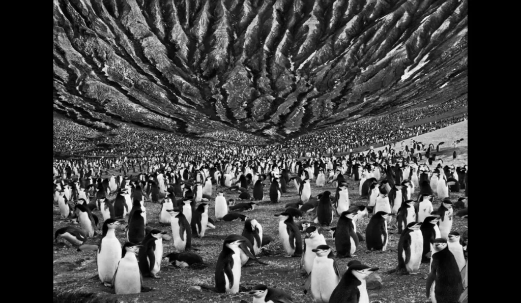 Foto de Sebastião Salgado