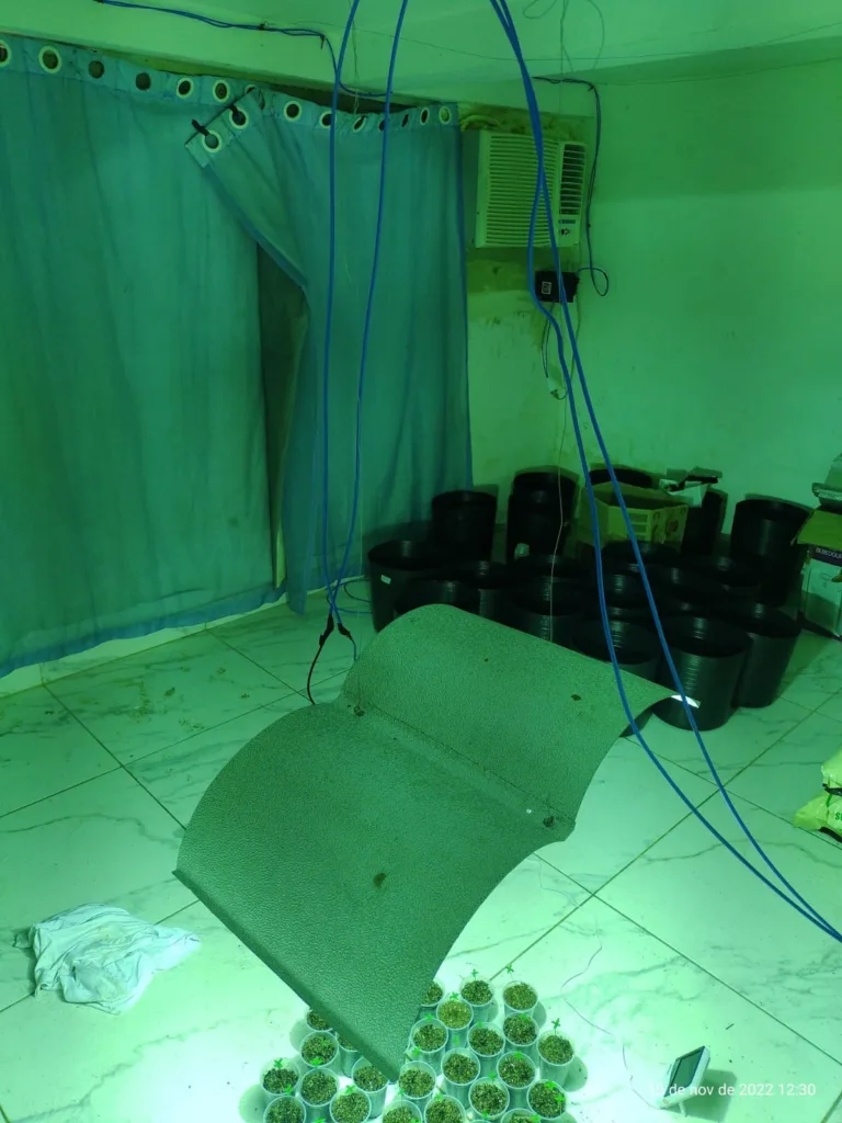 Mãe laboratório droga