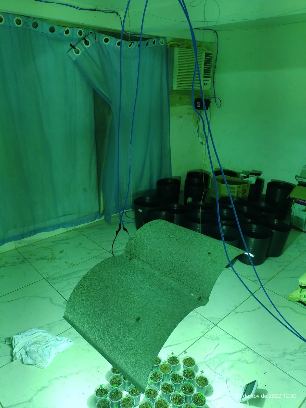 Mãe laboratório droga