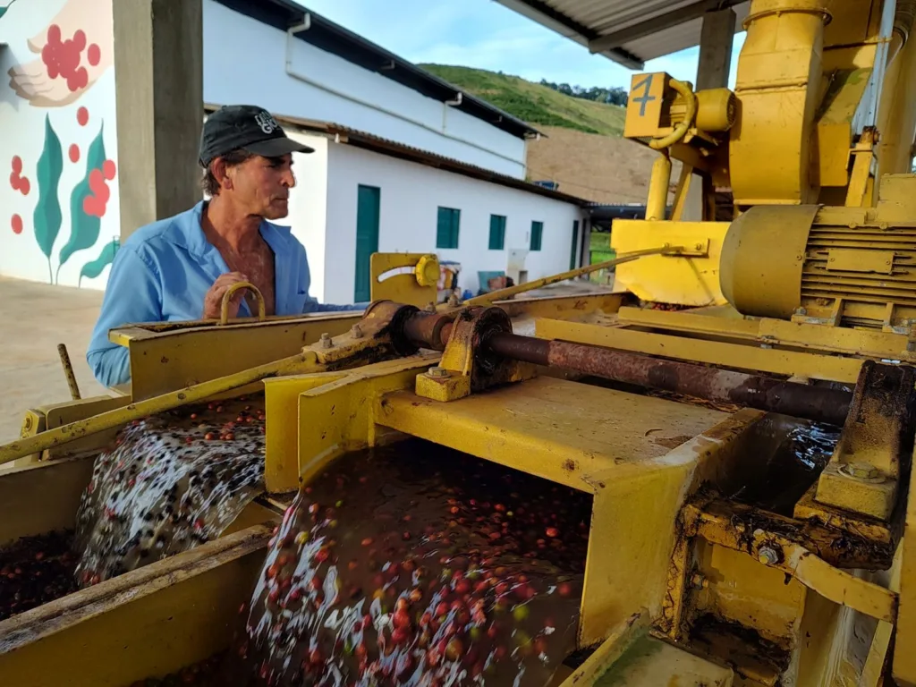 Foto do processo de lavagem de café que gera a água residual, reutilizada depois