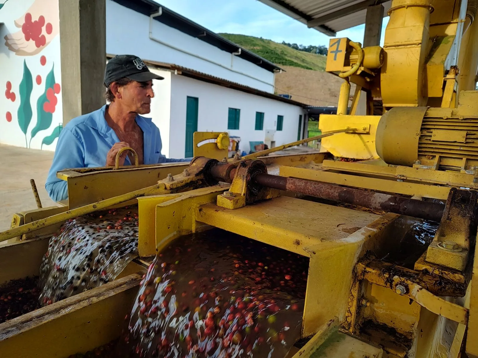 Foto do processo de lavagem de café que gera a água residual, reutilizada depois