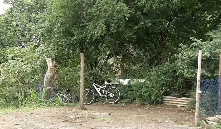 Foto: Reprodução/ TV Vitória 