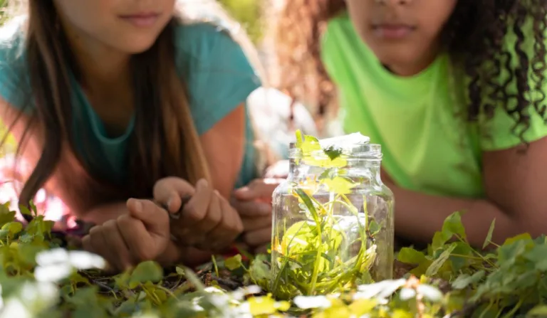 educação ambiental esg sustentabilidade meio ambiente