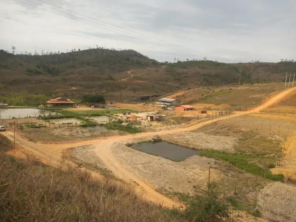 Operação Mata Atlântica