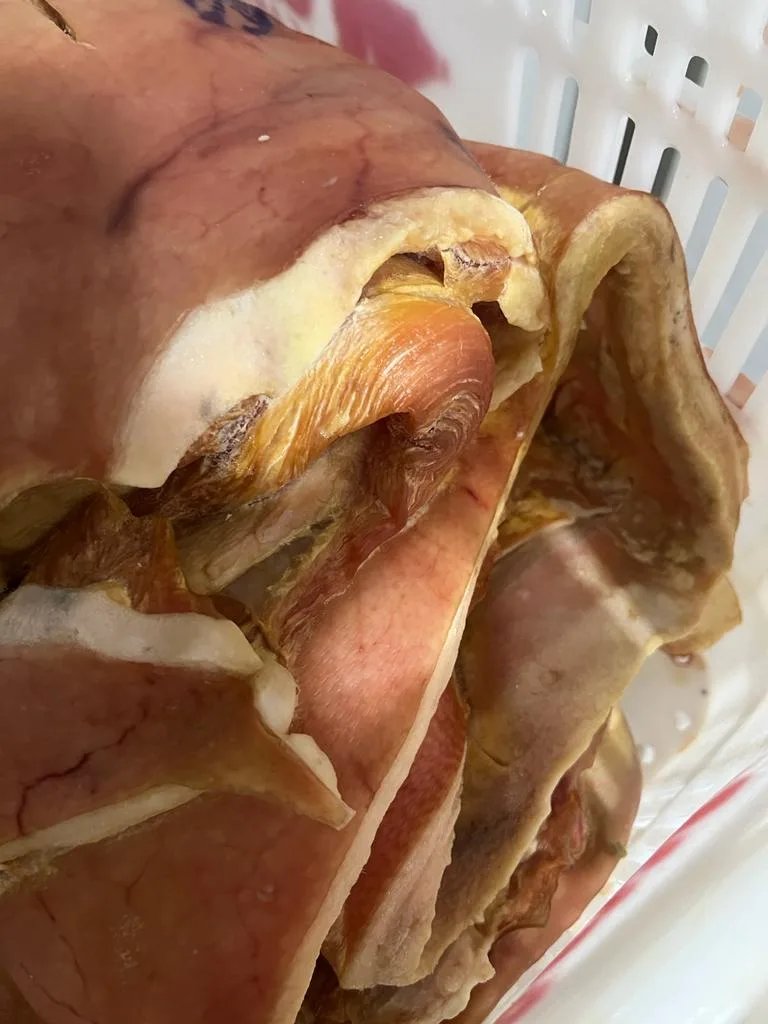 Fiscalização em frigorífico de Vila Velha apreende 14 toneladas de carne suína clandestina