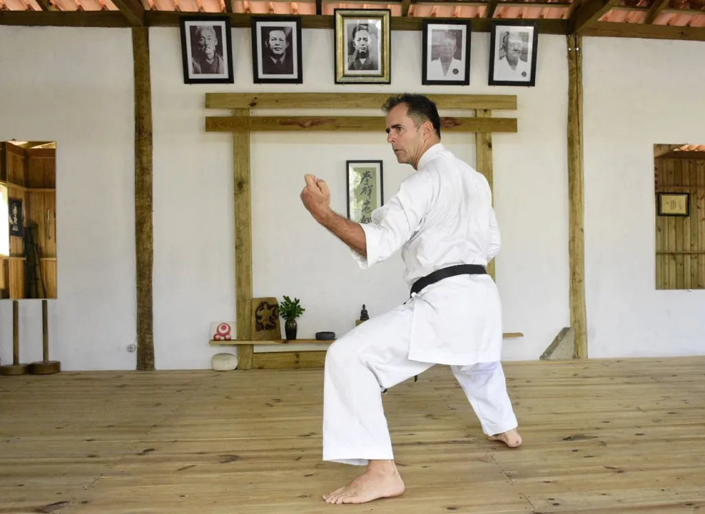 Professor constrói casa japonesa pra ensinar caratê em Vitória