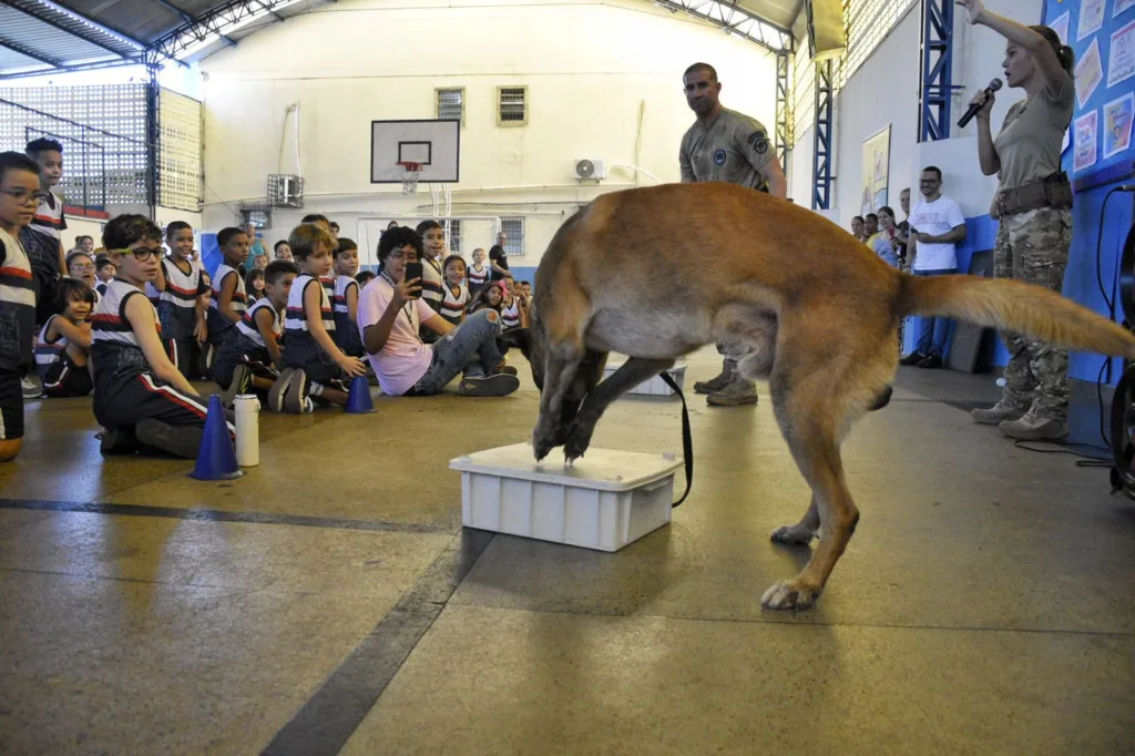 Projeto - Patrulha canina
