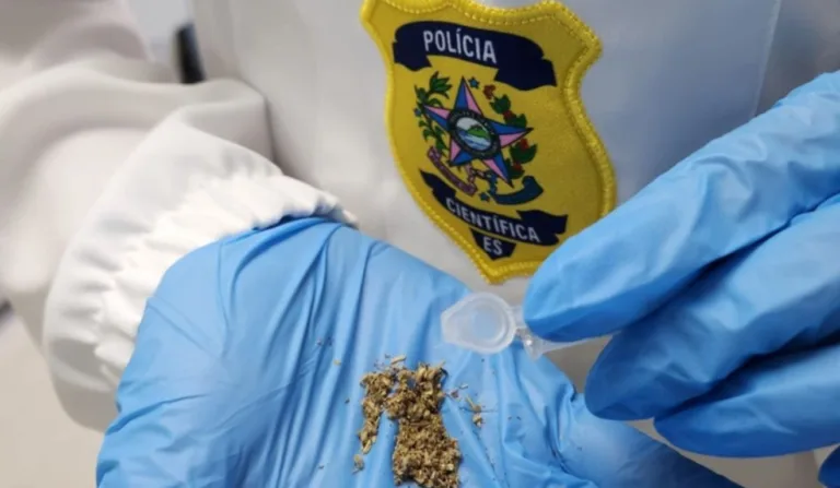 Apreensão de canabinoide sintético ocorreu em Nova Venécia. Foto: Polícia Científica/Divulgação