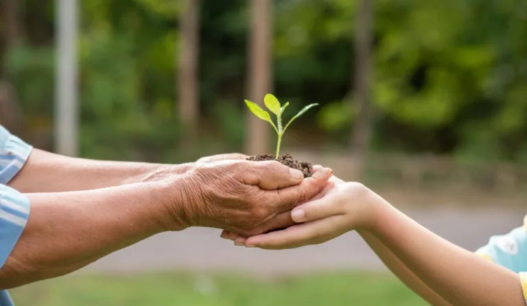 educação ambiental esg ecologia