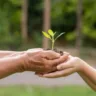 educação ambiental esg ecologia