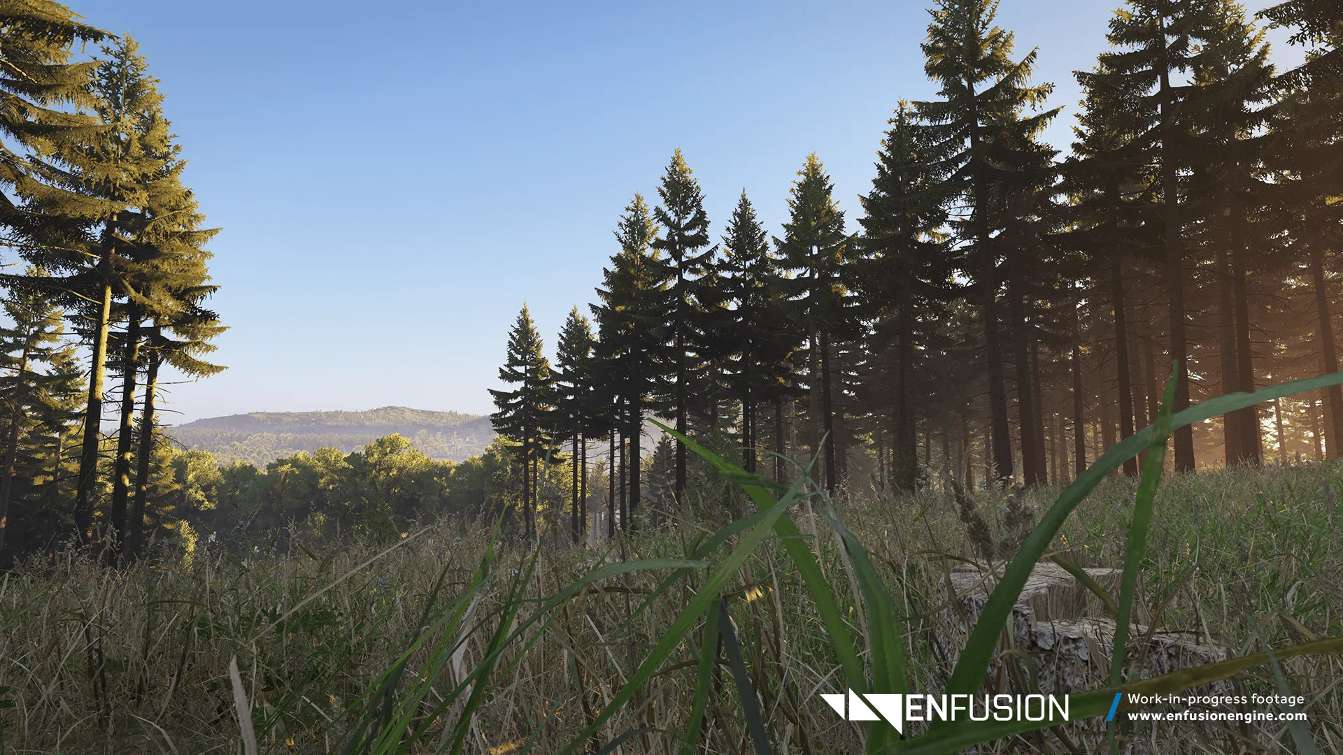 Bohemia Interactive